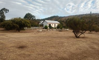 Parcela en Venta en TRATO DIRECTO DUEÑO