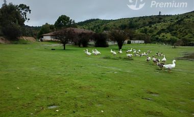 Parcela en Venta en TRATO DIRECTO DUEÑO