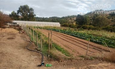 Parcela en Venta en TRATO DIRECTO DUEÑO