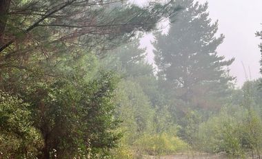 Amplio terreno en Unihue Hualqui