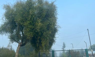 Amplio terreno en Unihue Hualqui