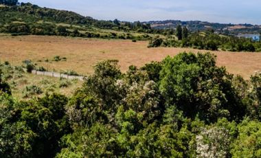 2 PARCELAS EN VENTA ISLA DE QUINCHAO CURACO DE VÉLEZ