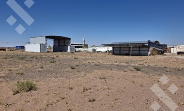 Se Alquila, Lote de 5.000 m2  con tinglado, Lote 4, Añelo