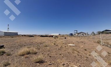 Se Alquila, Lote de 5.000 m2  con tinglado, Lote 4, Añelo