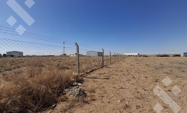 Se Alquila, Lote de 5.000 m2  con tinglado, Lote 4, Añelo