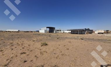 Se Alquila, Lote de 5.000 m2  con tinglado, Lote 4, Añelo