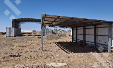 Se Alquila, Lote de 5.000 m2  con tinglado, Lote 4, Añelo