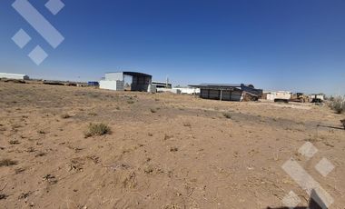 Se Alquila, Lote de 5.000 m2  con tinglado, Lote 4, Añelo