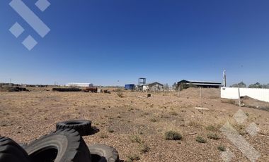 Se Alquila, Lote de 5.000 m2  con tinglado, Lote 4, Añelo