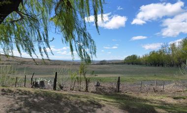 Campo - Lago Buenos Aires