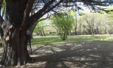 Campo - Lago Buenos Aires