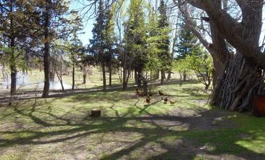 Campo - Lago Buenos Aires