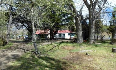 Campo - Lago Buenos Aires