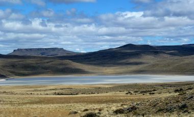 Campo - Lago Buenos Aires