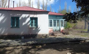 Campo - Lago Buenos Aires