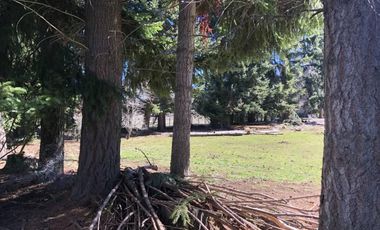 VENTA EXCELENTE  1,7 HECTAREA - QUILA QUINA - SAN MARTIN DE LOS ANDES