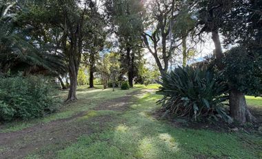 Quinta en Barrio Belgrano