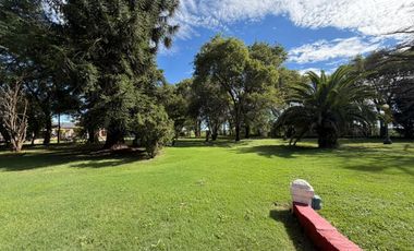 Quinta en Barrio Belgrano