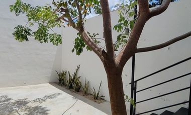 Departamento  en renta en planta baja Francisco de Montejo, Mérida Yucatán