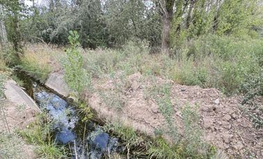 En Venta | Chacra en Allen | 6Has con Acceso a Ruta 65