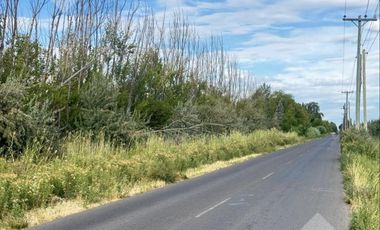 En Venta | Chacra en Allen | 6Has con Acceso a Ruta 65