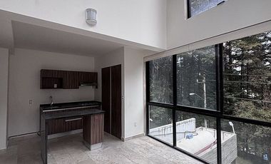 Loft en Renta, Contadero, 1 Recamaras