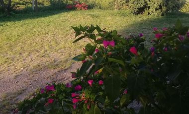 Casa en Los Nogales ruta 339 a 5 minutos de country Labradores 2