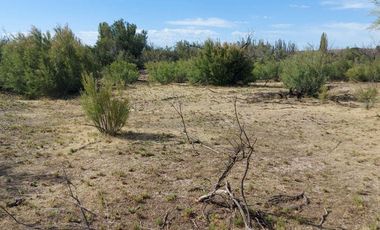 Chacra en Trelew