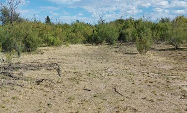 Chacra en Trelew