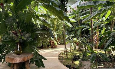 ¡Entrega inmediata! Empieza a generar ROI desde el primer día en Xperience Tulum