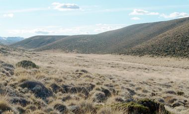 Campo en Tamel Aike