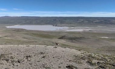Campo en Tamel Aike