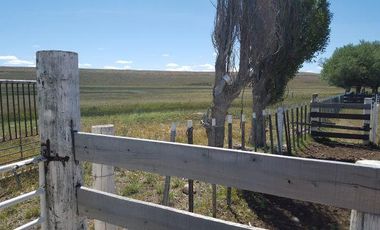 Campo en  Perito Moreno