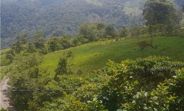 Finca de 10 fanegadas en la Vega Cundinamarca