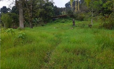 Finca de 10 fanegadas en la Vega Cundinamarca