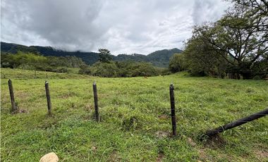 VENTA LOTE VENECIA, - SUROESTE ANTIOQUEÑO