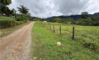 VENTA LOTE VENECIA, - SUROESTE ANTIOQUEÑO