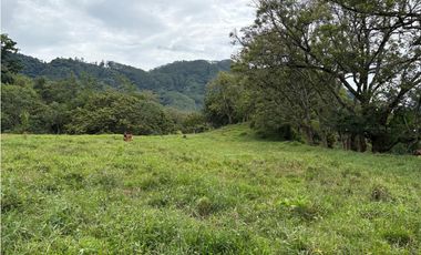 VENTA LOTE VENECIA, - SUROESTE ANTIOQUEÑO