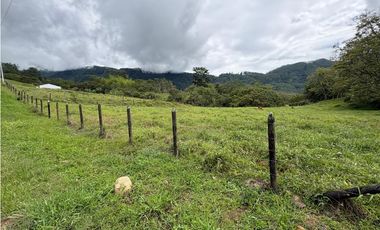 VENTA LOTE VENECIA, - SUROESTE ANTIOQUEÑO
