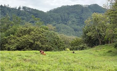 VENTA LOTE VENECIA, - SUROESTE ANTIOQUEÑO