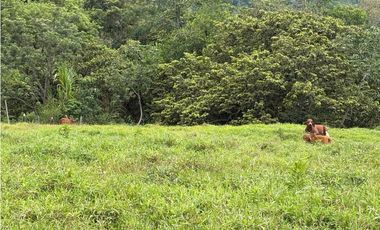 VENTA LOTE VENECIA, - SUROESTE ANTIOQUEÑO