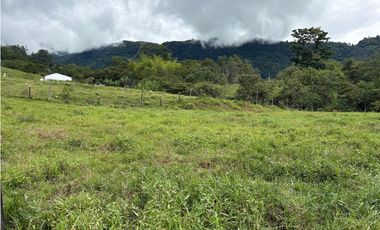 VENTA LOTE VENECIA, - SUROESTE ANTIOQUEÑO