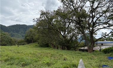 VENTA LOTE VENECIA, - SUROESTE ANTIOQUEÑO