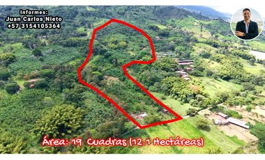 VENTA DE FINCA EN CALARC, QUINDO, COLOMBIA