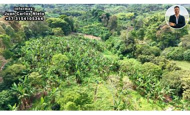 VENTA DE FINCA EN CALARC, QUINDO, COLOMBIA