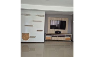 Apartamento Indigo
