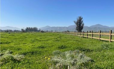 PARCELAS HACIENDA LOS VIÑEDOS CASABLANCA