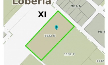 QUINTA 