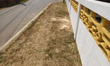 4 Bedroom House for sale in Mueang Mo, Phrae