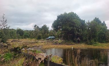 SECTOR LA POZA